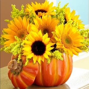 Meet your Posher, Rosie